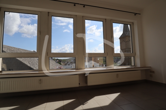 Radiateurs salon.JPG